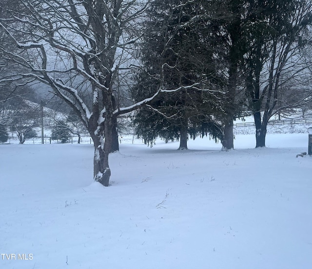 view of yard layered in snow