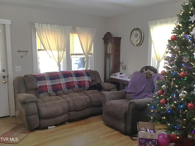 living room with light hardwood / wood-style floors