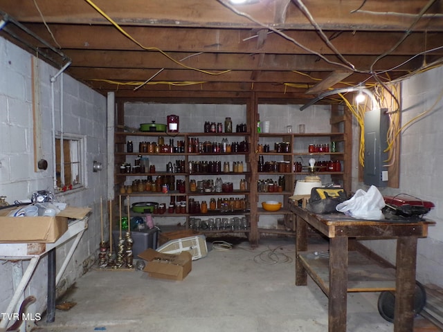 unfinished basement with electric panel