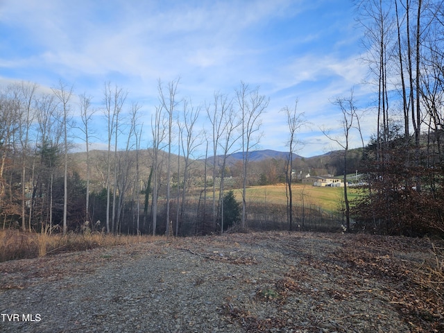 000 Galax Dr, Erwin, TN 37650 - photo 1