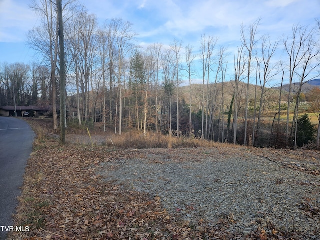 000 Galax Dr, Erwin, TN 37650 - photo 2