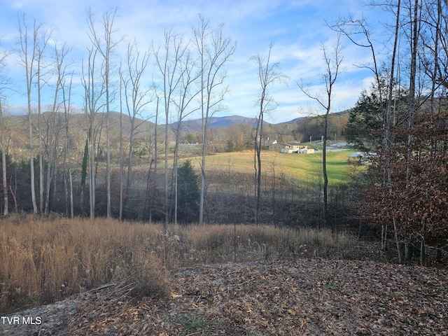 Listing photo 3 for 000 Galax Dr, Erwin TN 37650