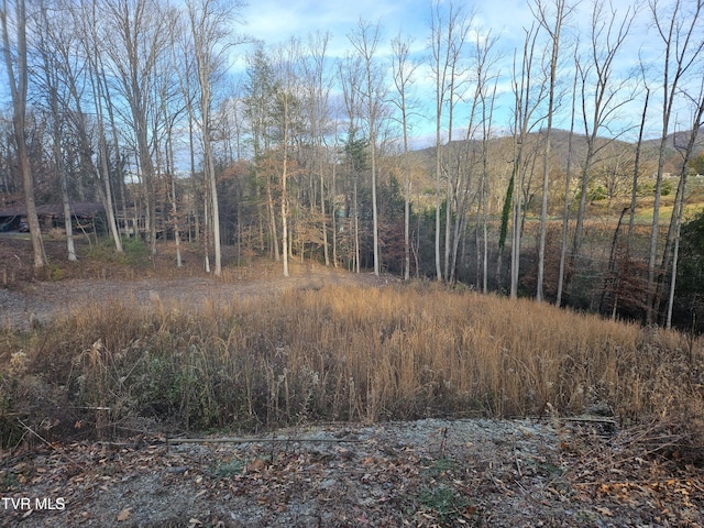 000 Galax Dr, Erwin, TN 37650 - photo 7