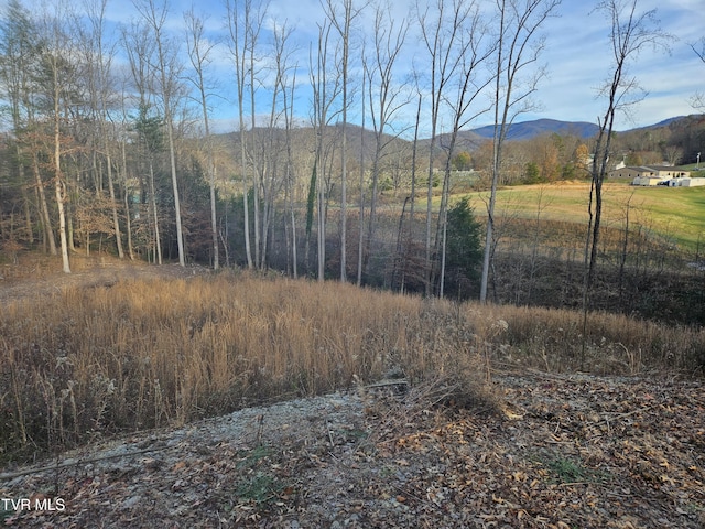 000 Galax Dr, Erwin, TN 37650 - photo 8