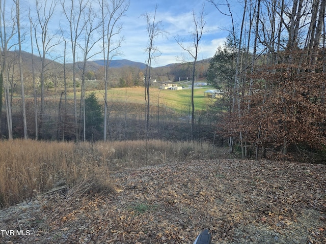 000 Galax Dr, Erwin, TN 37650 - photo 9