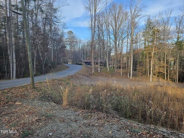 000 Galax Dr, Erwin, TN 37650 - photo 10