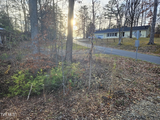 000 Galax Dr, Erwin, TN 37650 - photo 11