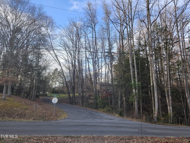 000 Galax Dr, Erwin, TN 37650 - photo 12