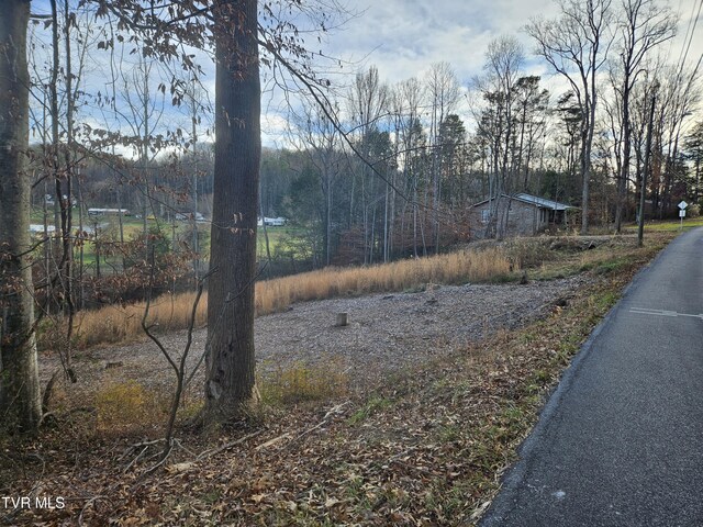 000 Galax Dr, Erwin, TN 37650 - photo 13
