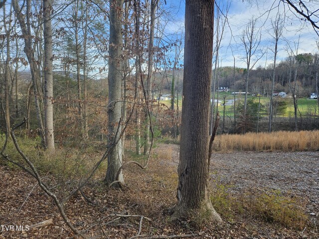 000 Galax Dr, Erwin, TN 37650 - photo 14