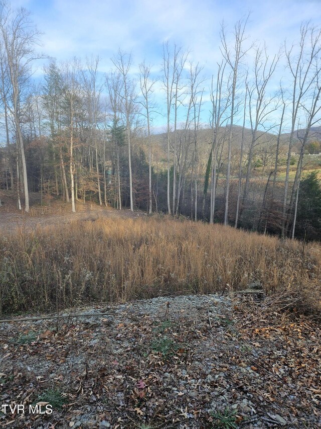000 Galax Dr, Erwin, TN 37650 - photo 5