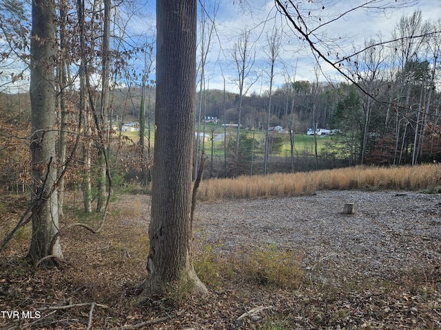 000 Galax Dr, Erwin, TN 37650 - photo 15