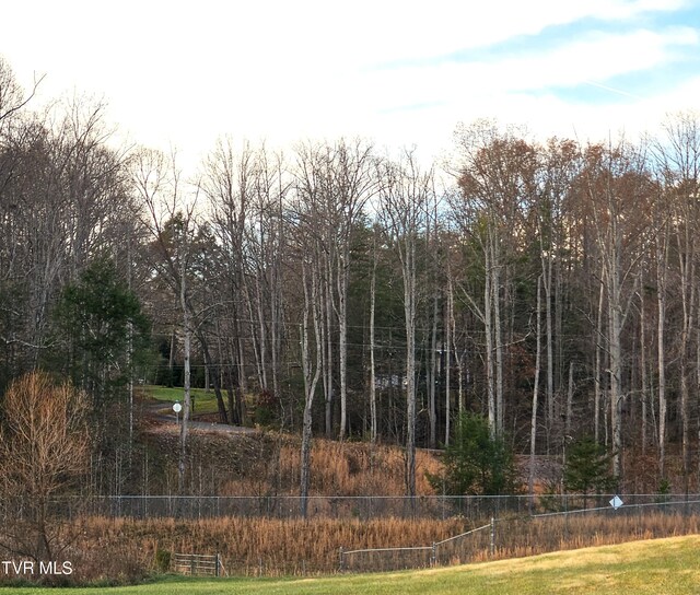 000 Galax Dr, Erwin, TN 37650 - photo 18