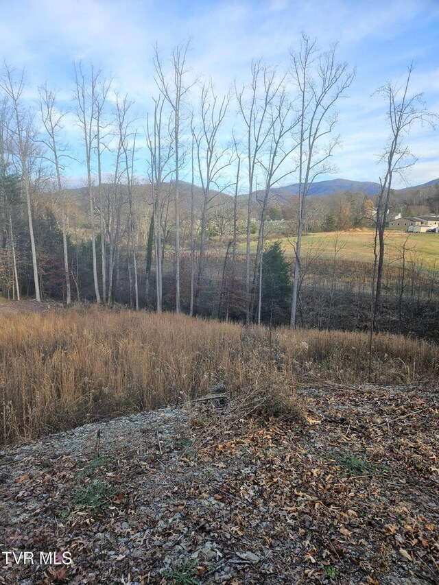 000 Galax Dr, Erwin, TN 37650 - photo 6