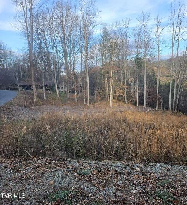 000 Galax Dr, Erwin, TN 37650 - photo 4