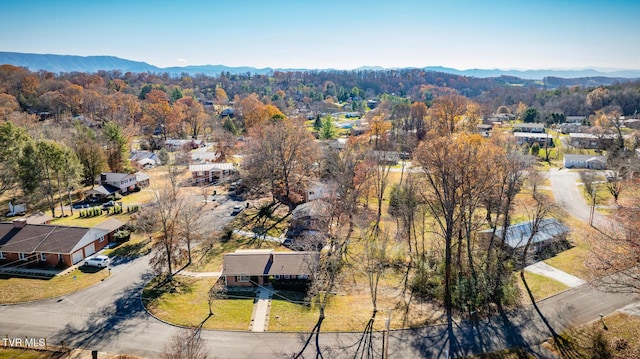 birds eye view of property featuring a mountain view