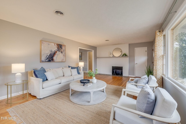 living room featuring wood-type flooring