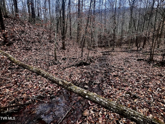 3662 Snake Hollow Rd, Sneedville, TN 37869 - photo 3