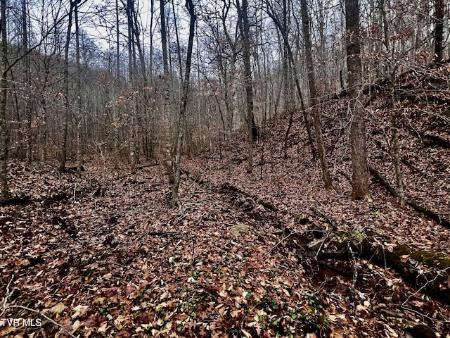 3662 Snake Hollow Rd, Sneedville, TN 37869 - photo 8