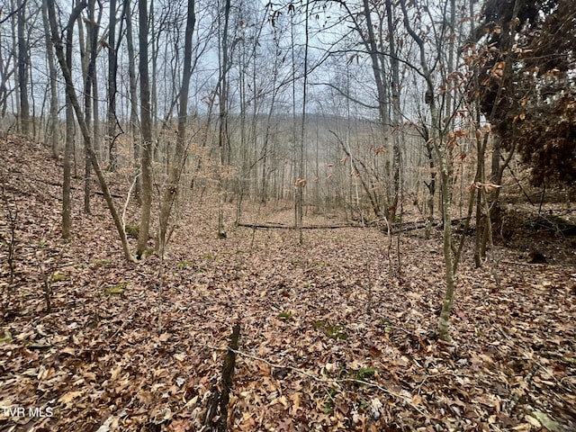 3662 Snake Hollow Rd, Sneedville, TN 37869 - photo 2