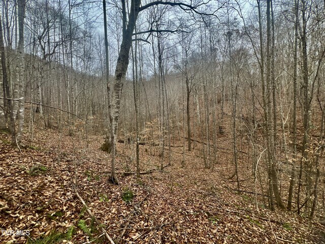 3662 Snake Hollow Rd, Sneedville, TN 37869 - photo 7