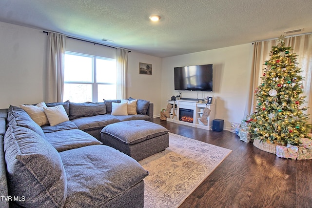 living room with dark hardwood / wood-style flooring and a textured ceiling