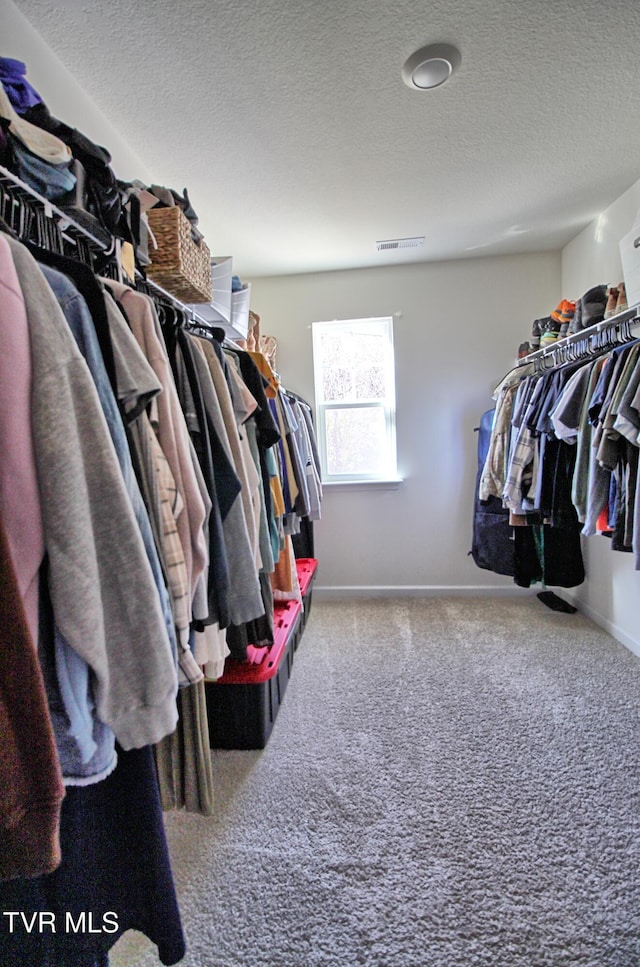 walk in closet featuring carpet flooring