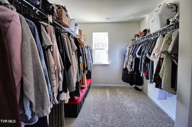 walk in closet featuring carpet floors