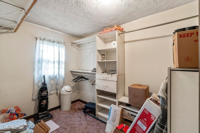 spacious closet featuring carpet floors