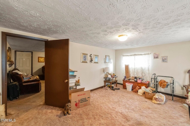 miscellaneous room with carpet and a textured ceiling