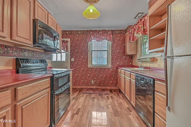 kitchen with sink, light hardwood / wood-style flooring, and black appliances