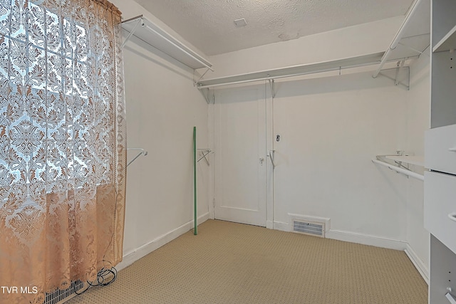 walk in closet featuring light colored carpet