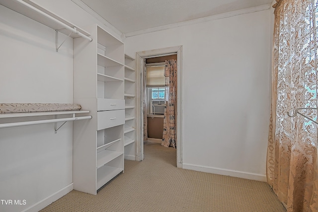 walk in closet with light carpet