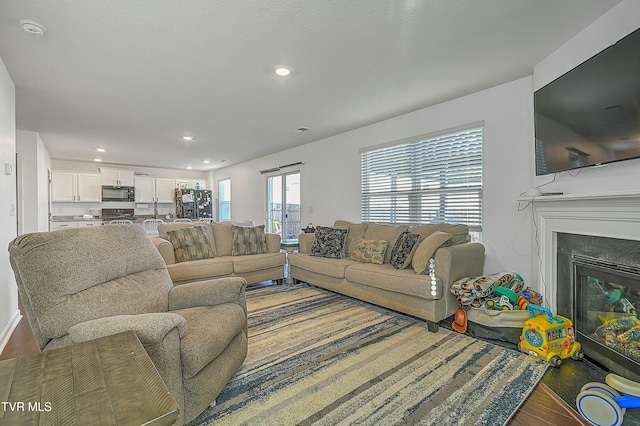 living room featuring wood-type flooring