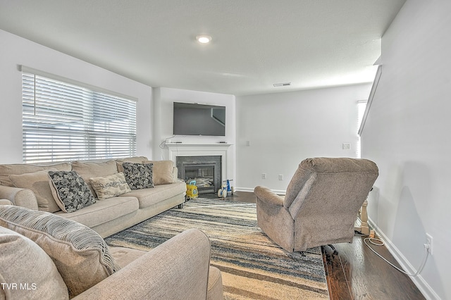 living room featuring hardwood / wood-style floors