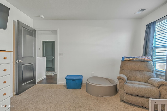 sitting room with carpet flooring