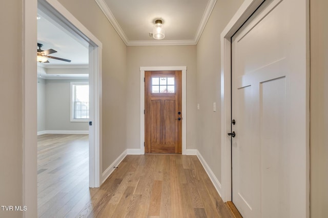 foyer with light hardwood / wood-style flooring, ceiling fan, and crown molding