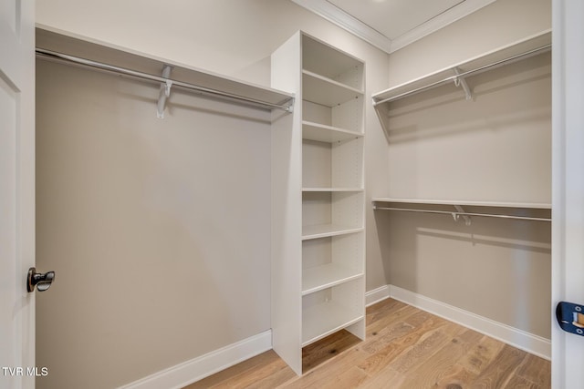 spacious closet featuring light hardwood / wood-style flooring