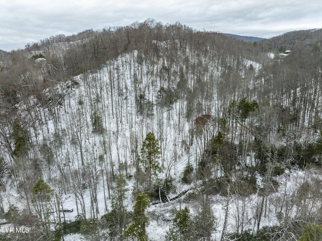 1255 Tiger Creek Rd, Roan Mountain, TN 37687 - photo 12