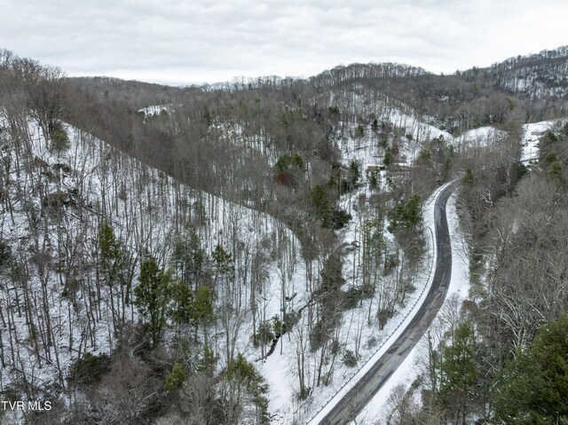1255 Tiger Creek Rd, Roan Mountain, TN 37687 - photo 14