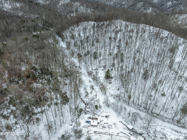 1255 Tiger Creek Rd, Roan Mountain, TN 37687 - photo 22
