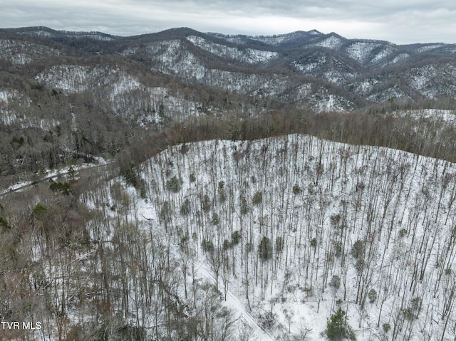 1255 Tiger Creek Rd, Roan Mountain, TN 37687 - photo 24