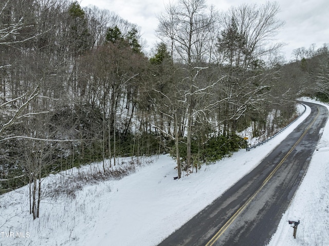 1255 Tiger Creek Rd, Roan Mountain, TN 37687 - photo 13