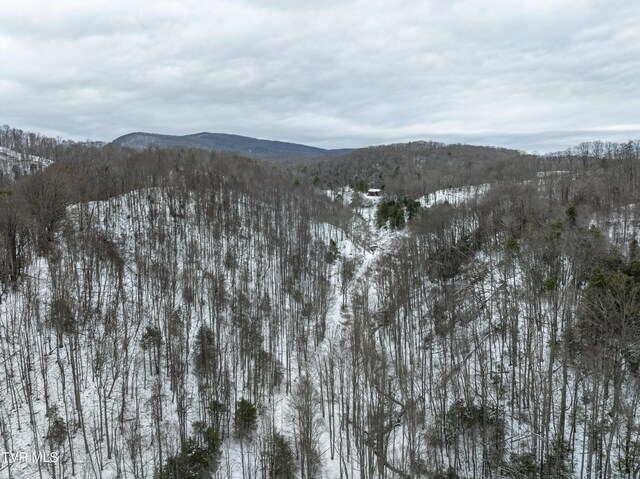 1255 Tiger Creek Rd, Roan Mountain, TN 37687 - photo 16