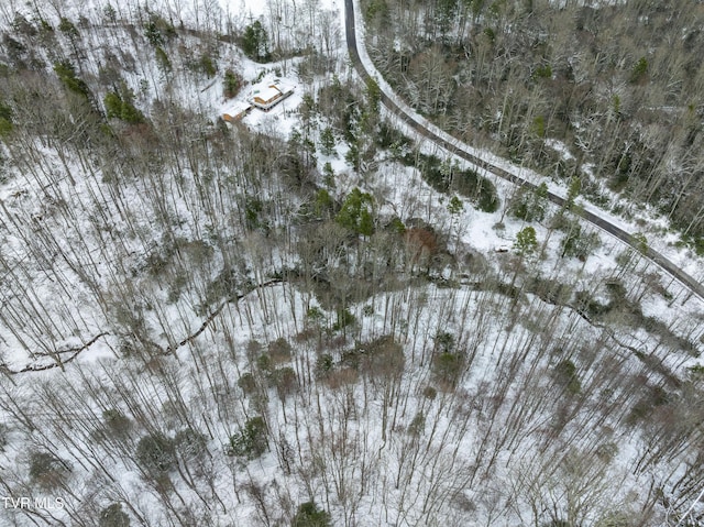 1255 Tiger Creek Rd, Roan Mountain, TN 37687 - photo 19