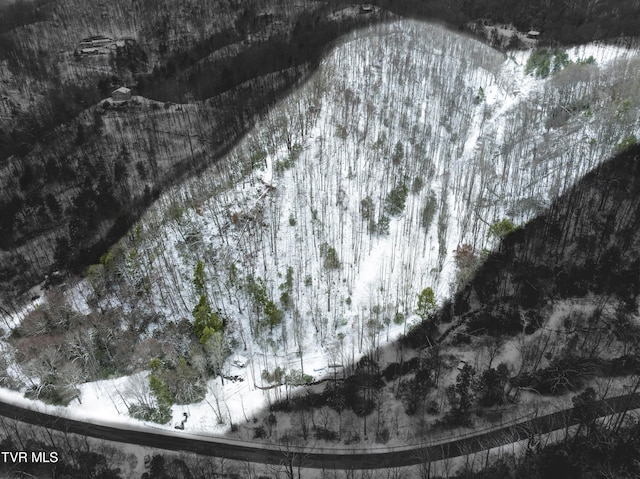 1255 Tiger Creek Rd, Roan Mountain, TN 37687 - photo 20