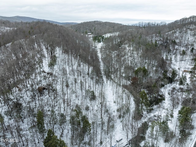 1255 Tiger Creek Rd, Roan Mountain, TN 37687 - photo 21