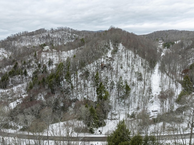 1255 Tiger Creek Rd, Roan Mountain, TN 37687 - photo 11