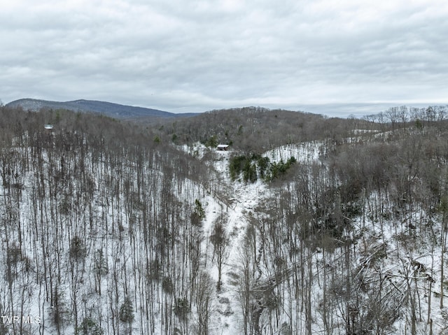1255 Tiger Creek Rd, Roan Mountain, TN 37687 - photo 17