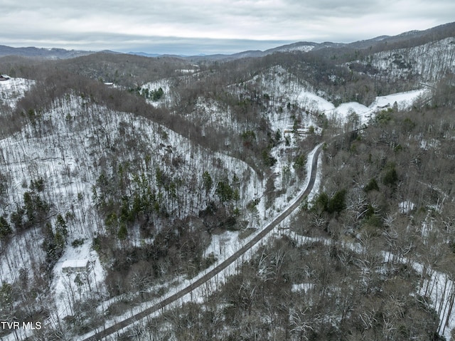 1255 Tiger Creek Rd, Roan Mountain, TN 37687 - photo 15